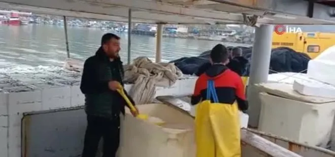 Düzce’de 3 bin kasa Hamsi ile döndüler