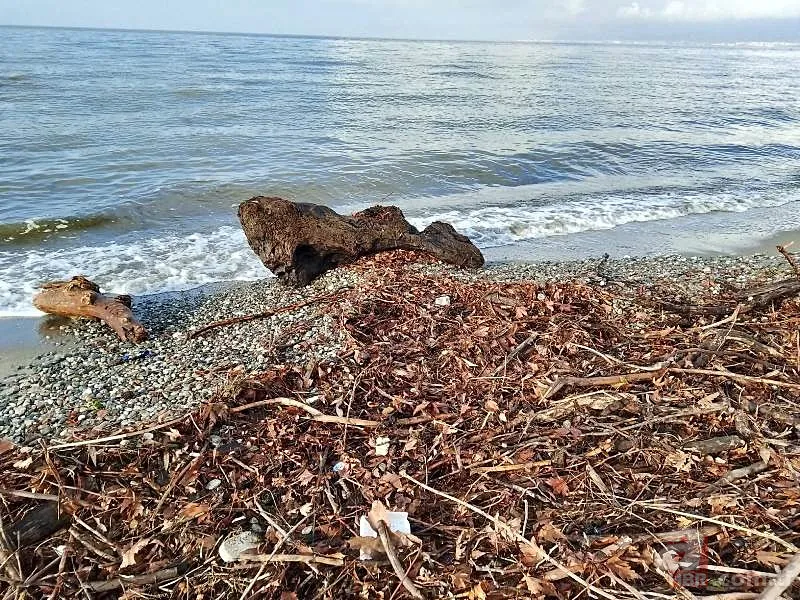 Hastalık havalarına dikkat! Sıcaklık arttı, Lodos hızlandı: Saatte 60 KM hızla fırtına geliyor! Bu hafta yağış var mı? 7