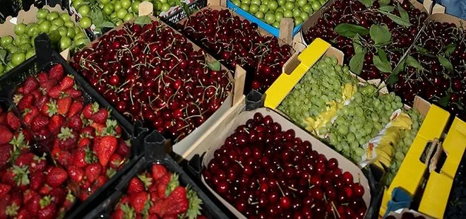 Meyve-Sebze ihracatı 2.3 milyarı aştı! Hava yolu ile ihracat yüzde 71 arttı