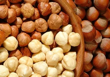 Fındıkta fiyat oyunu bozulacak!