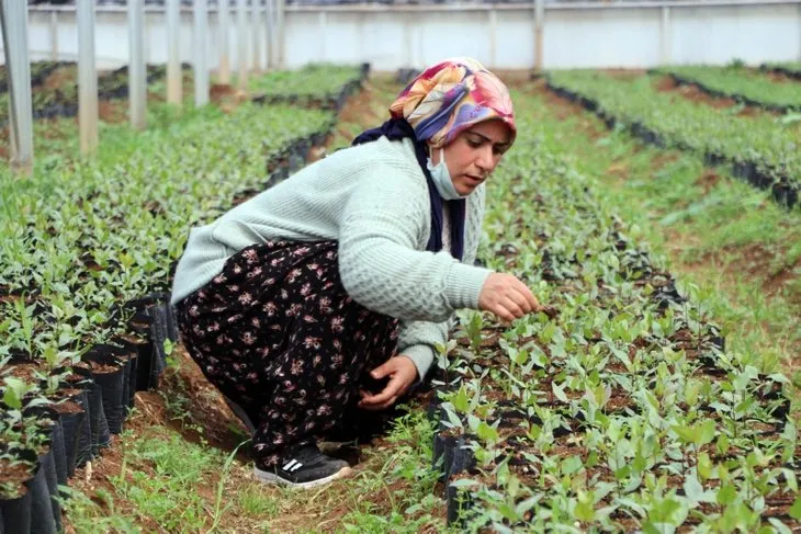 Gaziantepli 7 kadın, kurdukları kooperatifle ihracata başladı! İlk kez kendi parasını kazandı
