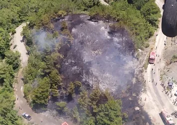 Hatay'da çıkan orman yangını söndürüldü