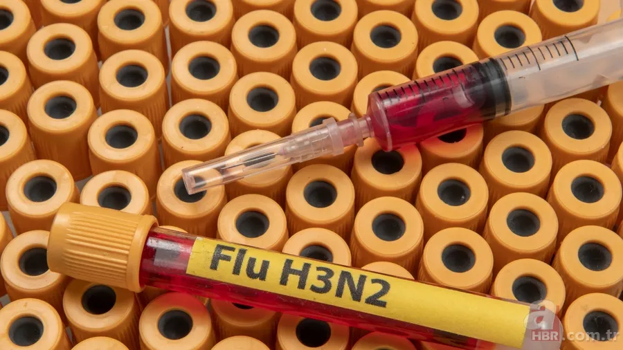 Yeni grip varyantı H3N2 nedir, nasıl bulaşır? Influenza A tedavisi nedir? 6