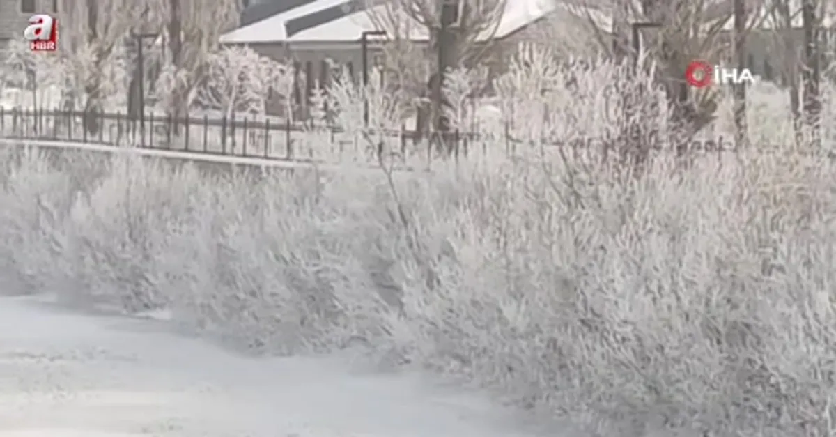 Ardahan'da dondurucu soğuklar
