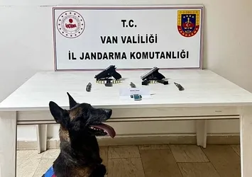 Van'da silah ve mühimmat ele geçirildi