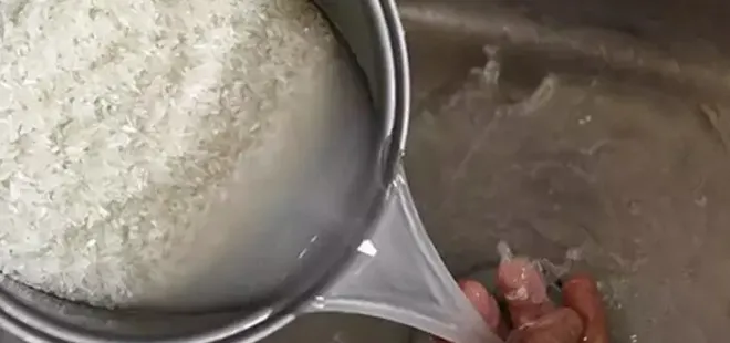 Pirinç suyunu sakın dökmeyin! Bakın ne işe yarıyormuş…