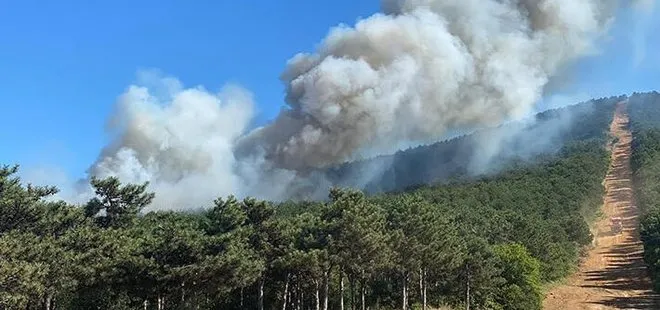 Son dakika: İstanbul Kayışdağı’nda orman yangını! Ekipler müdahale ediyor