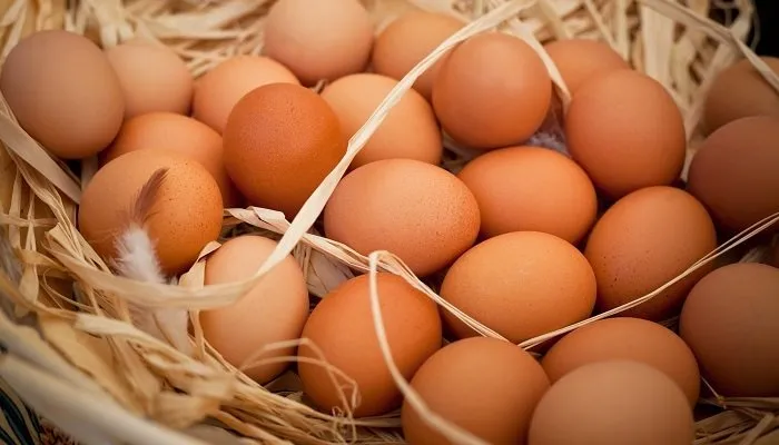 Yumurtayı büyük mü almalı küçük mü?