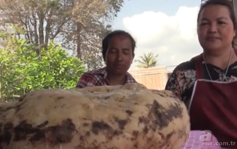 Yürüyüşe çıktı hayatı değişti! Değeri dudak uçuklattı 3