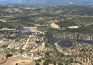 Balıkesir'deki yangında 350 dönüm alan zarar gördü