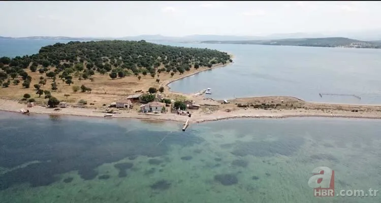 Hülya Avşar'ın hayali suya düştü! Çiçek Adası için rekor fiyat 2