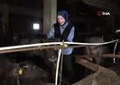 Mandaları köyün simgesi oldu