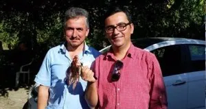 Bu balığa dikkat! Eğer iğnesi batarsa...