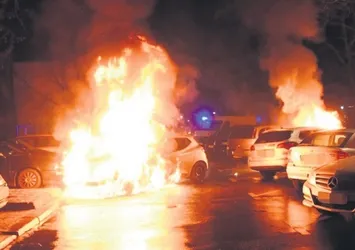Besledikleri karga gözlerini oyuyor