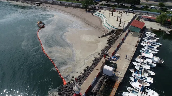 Son dakika: Kritik önerge TBMM’de kabul edildi! Denizlerdeki müsilaj sorunu için Meclis Araştırma Komisyonu kuruldu