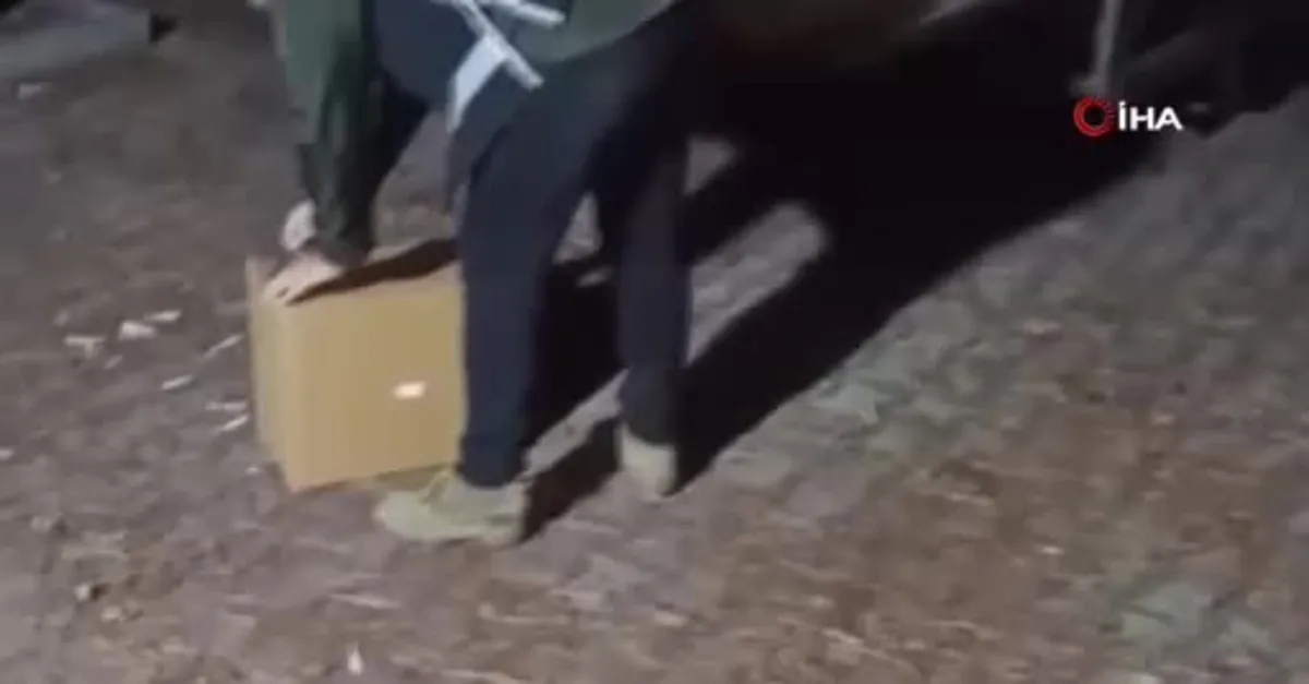 2 milyon dal makaron ele geçirildi