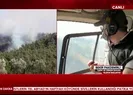 Ege ve Marmarada çıkan yangınlarla ilgili son durumu Bakan Pakdemirli A Haber canlı yayınında açıkladı