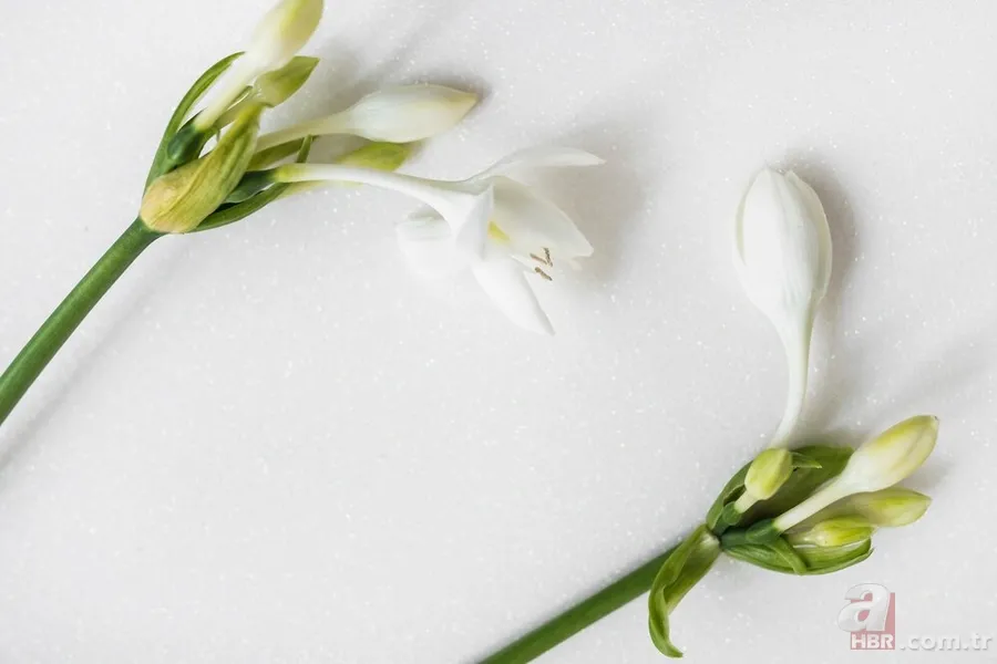 Hangi renk hangi duyguyu tetikliyor? Renkler ruh halinizi etkiliyor! 3