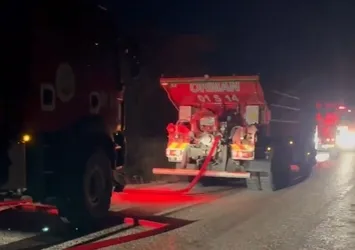 Adana'da orman yangını büyümeden söndürüldü