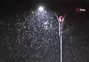 Siirt'te kar yağışı başladı