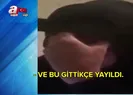 Atatürke hakaret etti, yakalandı!