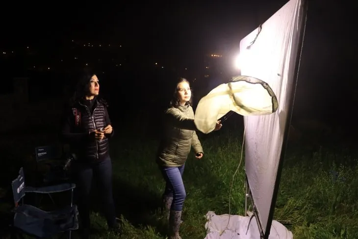 İki kadın akademisyen terörden temizlenen bölgede özel tuzaklarla gece kelebeklerini kayıt altına alıyor