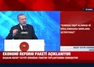Kamuda taşıt alımı ve kiralanmasına sınırlama getirildi