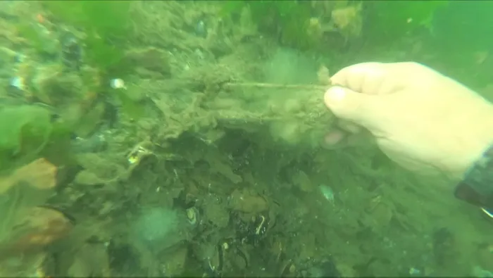 Bekar Deresi’ndeki koku vatandaşı isyan ettirdi! Eski Haliç’e dönüyor