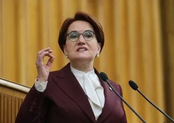 İYİ Parti'de büyük kriz! Meral Akşener diktatörlüğünü ilan etti! İstifa isteyen partiden gönderiliyor! Ethem Baykal'dan FETÖ göndermesi