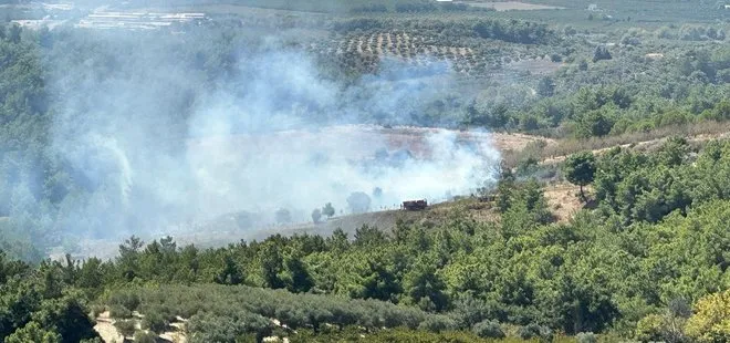 Son dakika! Kuşadası’nda orman yangını: 2 dönümden fazla alan hasar gördü