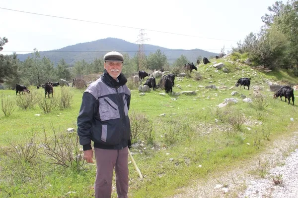 1618386624101.jpg Gençler bu mesleği seçmiyor! Çobanlar şikayetçi oldu: Parası çok hanımı yok - 2