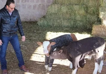 Hayvanları çocukları gibi giydirdi