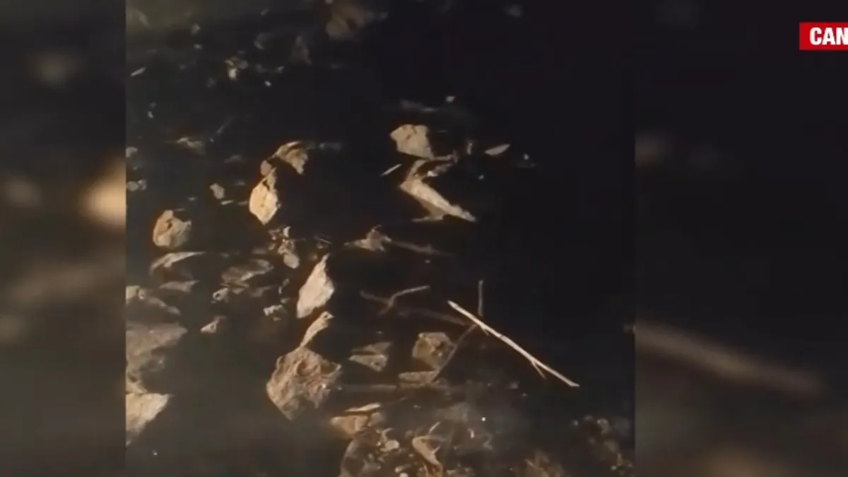 Bursa'da yeni bir kundaklama girişimi! Ekipleri görünce hızla kaçtı: Şoke eden görüntüler sadece A Haber'de