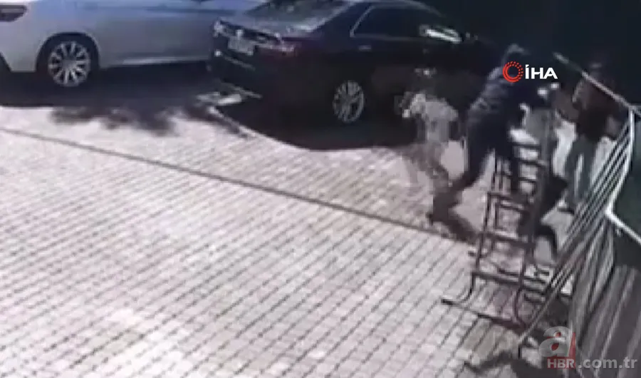 Maymun böyle kaçırdı! Halk seferber oldu 9