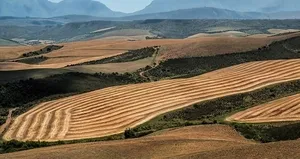 İstanbul’da en çok nerelerde 2B arazisi var?