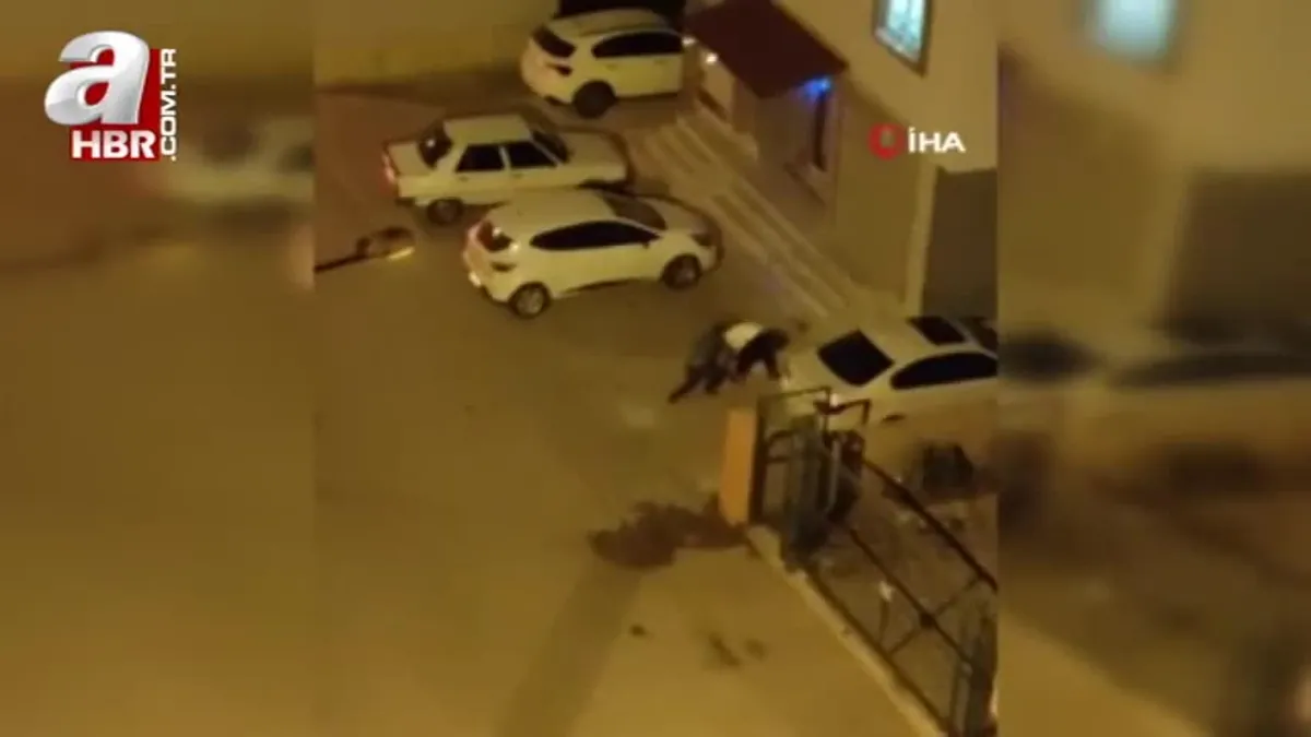 Pitbull silahla bile durdurulamamış