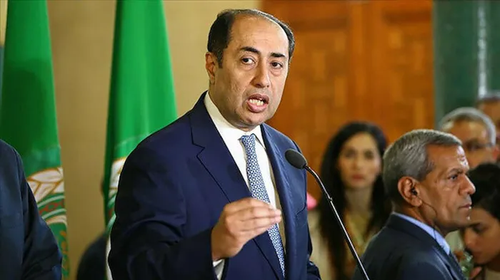 Arap Birliği noktayı koydu! Türkiye'ye "işgalci" diyen Mısırlı sunucuya tokat gibi yanıt - 1
