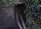 Define ararken mağara keşfettiler