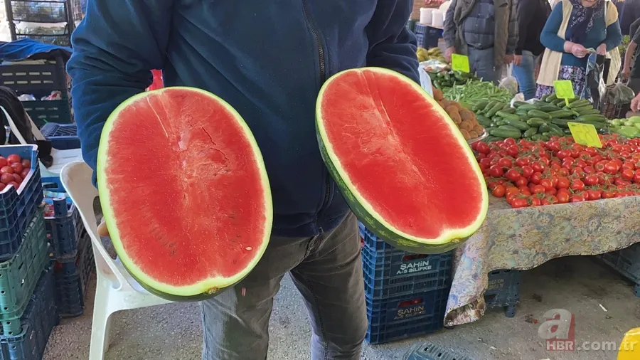 Karpuz dilim dilim satışa çıktı: Kilosu 50 lira 2