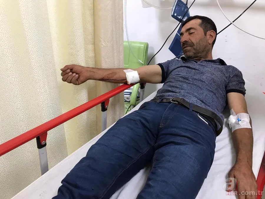 Görüntüler Erzurum’dan… Ayı çobana saldırdı! ‘Ayının altından kurtuldum ve…’🐻 3