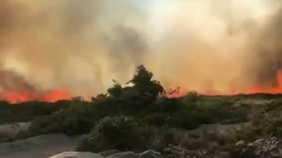 Son dakika: Çeşme Alaçatı’da orman yangını