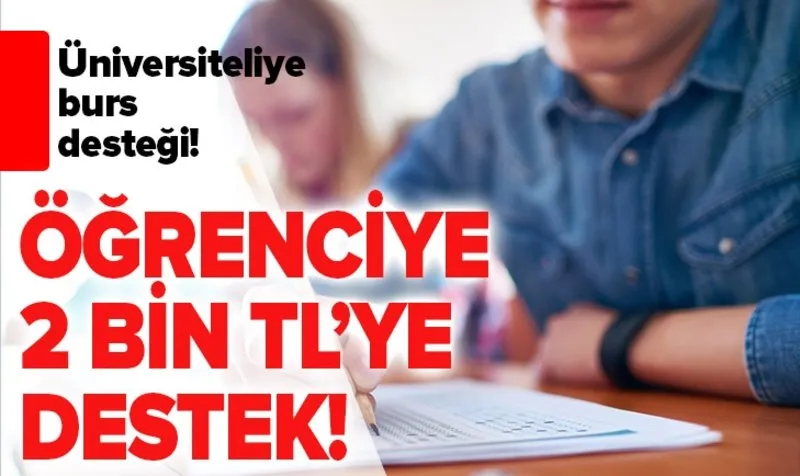 Universite Ogrencisine Burs Imkani Karsiliksiz Burs Veren Kurumlar Hangileri