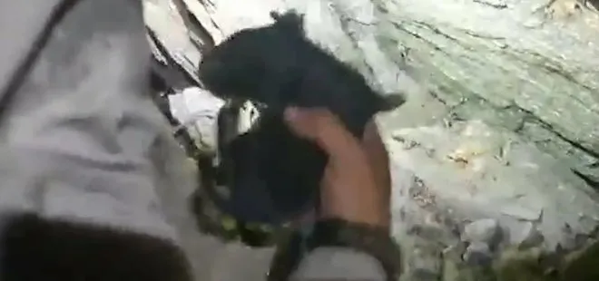 Jandarma yangın nedeniyle ayrı kalan anne köpek ve yavrularını kurtardı