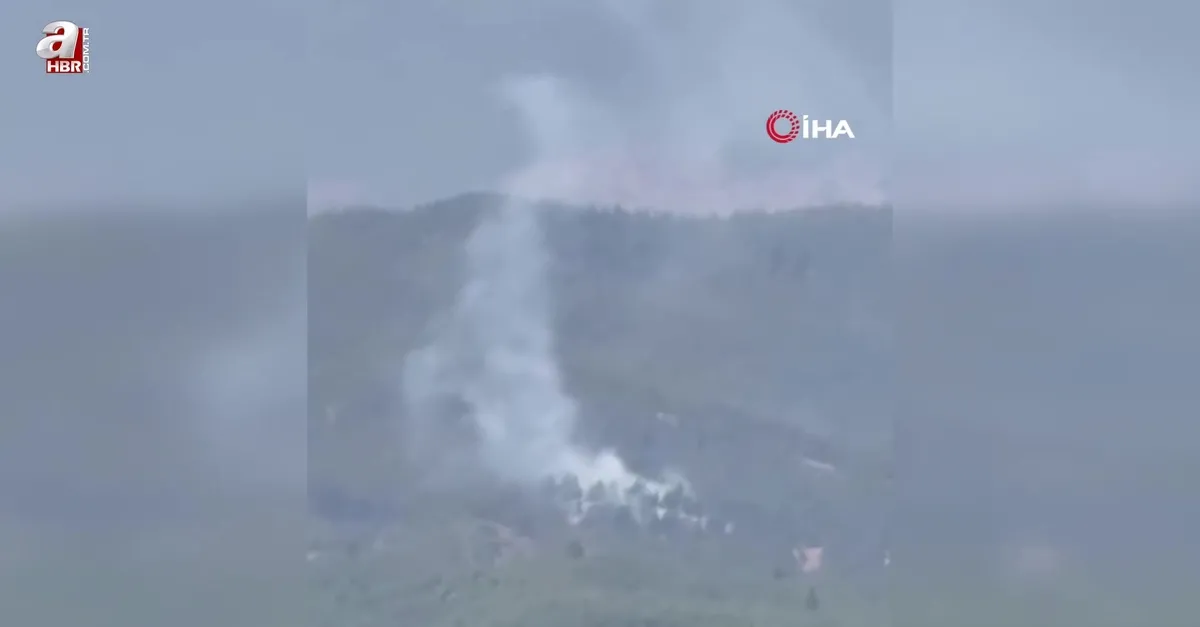 Adana Aladağ'da orman yangını