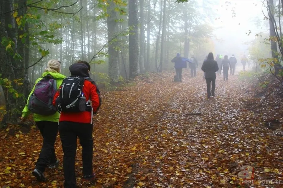 Sadece manzara değil, tedavi! Doğanın insan üzerindeki etkisi: Kokusu bile yetiyor 7