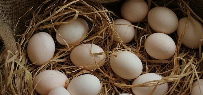 Yumurta fiyatları kanatlandı! Artış mercek altında