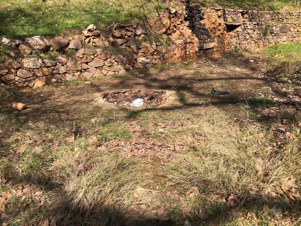 Şehitlere büyük saygısızlık! İBB kontrolündeki tarihi tekkeden utandıran görüntüler