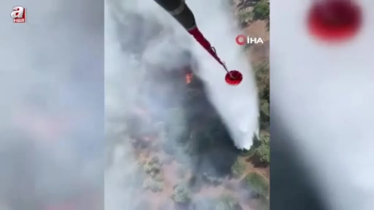 Söke'deki yangına havadan müdahale yapılıyor