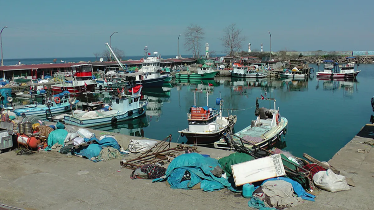 2025 Balık avı yasağı tarihleri | Balık avı yasağı ne zaman, hangi tarihte başlıyor?