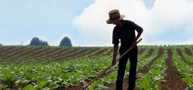 Genç çiftçi projelerine hibe desteği